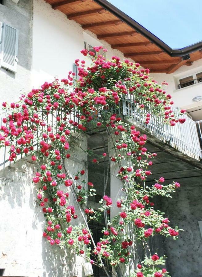 "Il Cortile" Apartment Colico Exterior photo